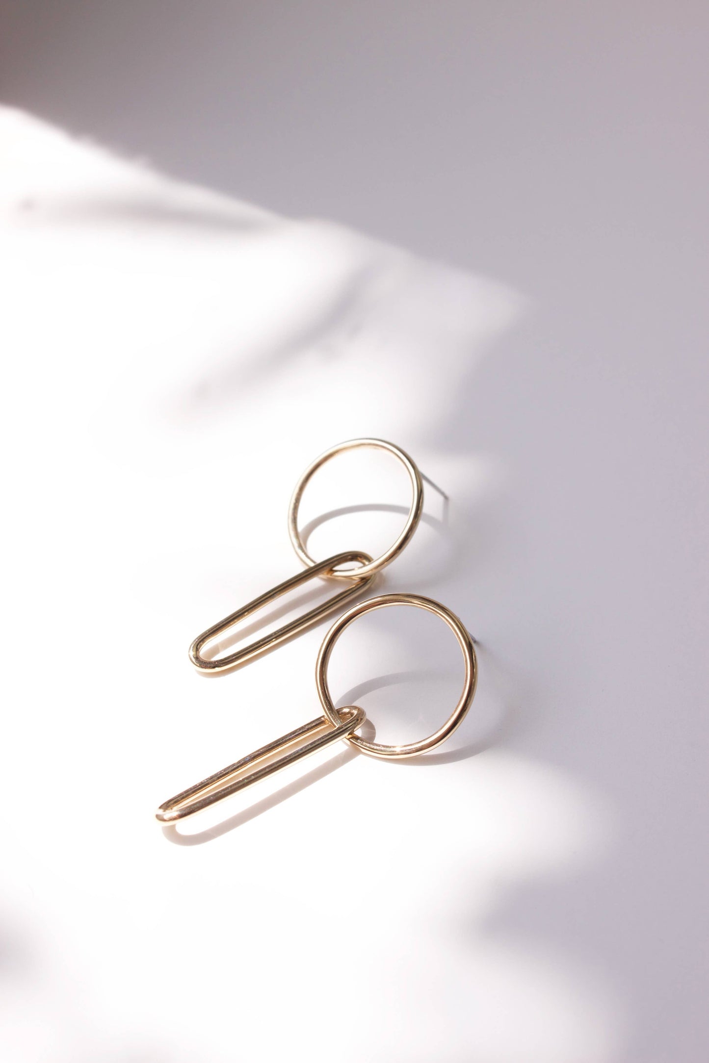 Circle Link Earrings