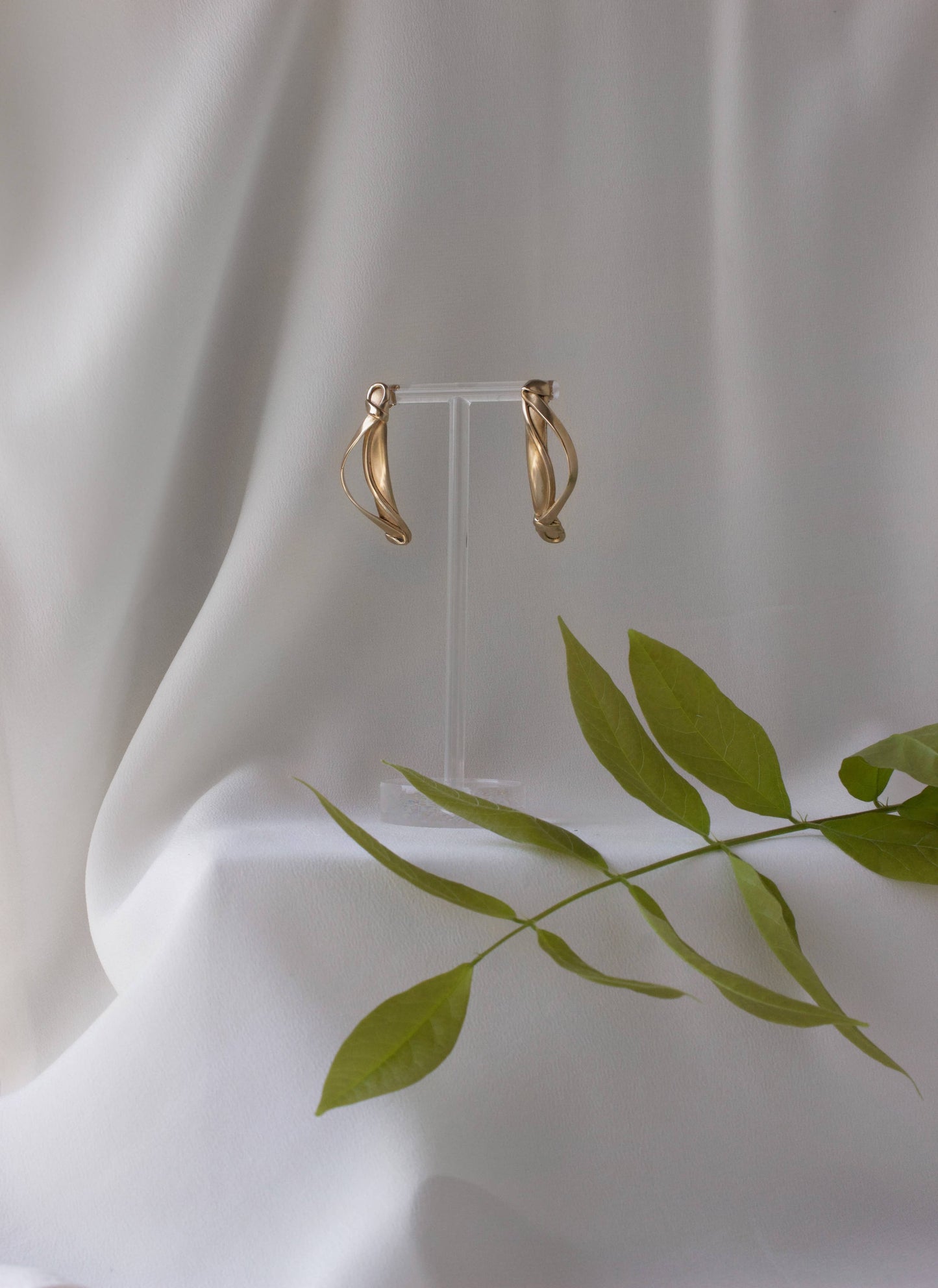 L.Greenwalt Jewelry - Draped Ribbon Earrings
: Yellow bronze