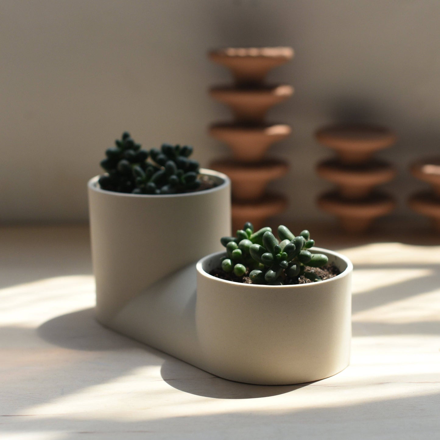 Double Planter: Bone