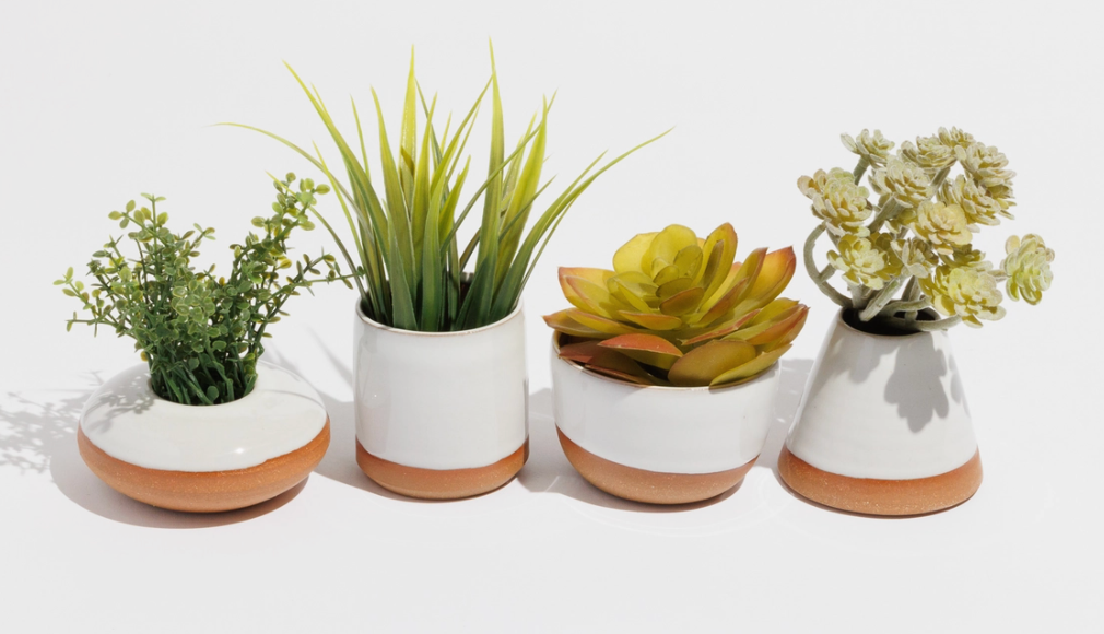 Tiny Planter Assortment