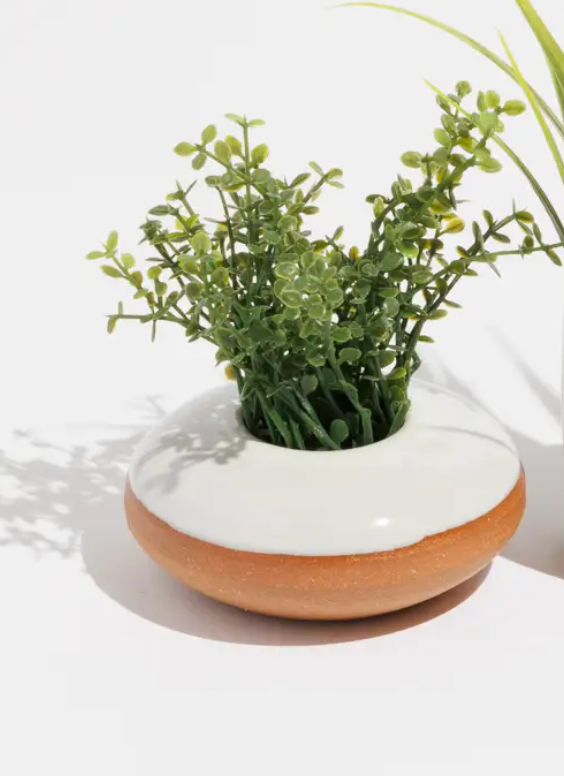 Tiny Planter Assortment