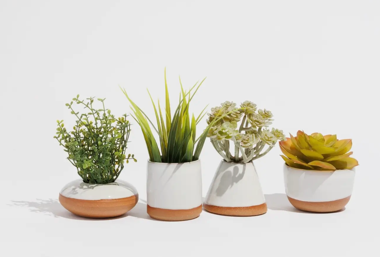 Tiny Planter Assortment