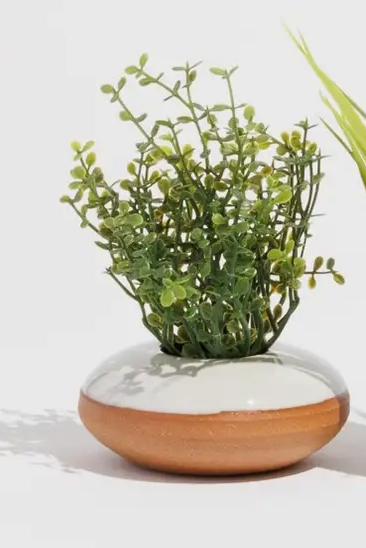 Tiny Planter Assortment