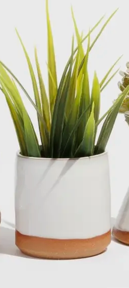 Tiny Planter Assortment