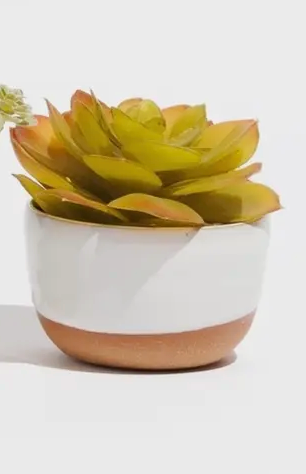 Tiny Planter Assortment