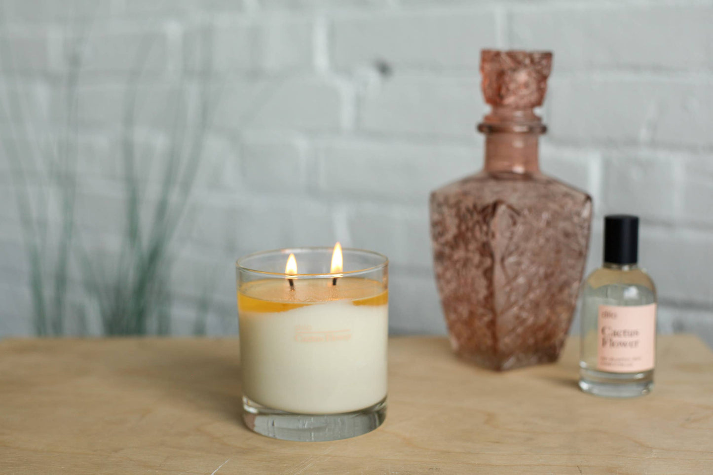 dilo - CACTUS FLOWER CANDLE