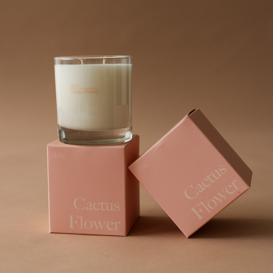 dilo - CACTUS FLOWER CANDLE